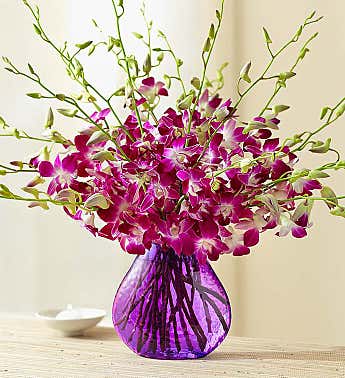 Orchid Delivery Orchid Bouquets Arrangements 1800flowers